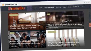 Publish Guest Post on pmumalins.org