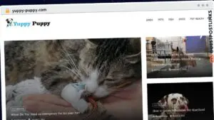Publish Guest Post on yuppy-puppy.com