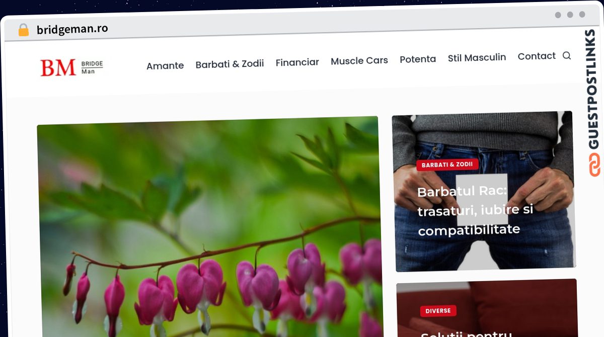 Publish Guest Post on bridgeman.ro