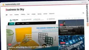 Publish Guest Post on businesstosky.com