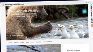 Publish Guest Post on focusingonwildlife.com