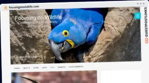 Publish Guest Post on focusingonwildlife.com