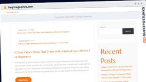 Publish Guest Post on furymagazines.com