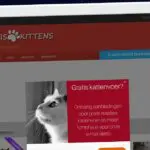 Publish Guest Post on gratiskittens.com