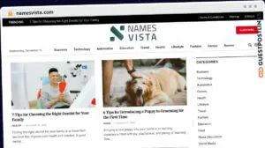 Publish Guest Post on namesvista.com