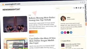 Publish Guest Post on newsinsight247.com