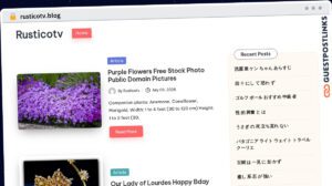 Publish Guest Post on rusticotv.blog