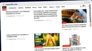 Publish Guest Post on taazavibe.com
