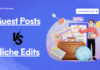 Guest Posts vs. Niche Edits