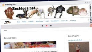 Publish Guest Post on bestdogs.net