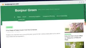 Publish Guest Post on bonjourgreen.com