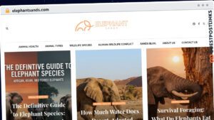 Publish Guest Post on elephantsands.com