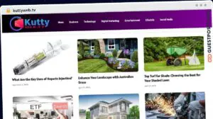 Publish Guest Post on kuttyweb.tv
