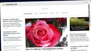 Publish Guest Post on rosepedia.com