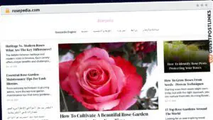 Publish Guest Post on rosepedia.com