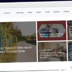 Publish Guest Post on livemintpro.com