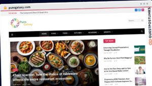 Publish Guest Post on punsgalaxy.com
