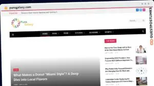 Publish Guest Post on punsgalaxy.com
