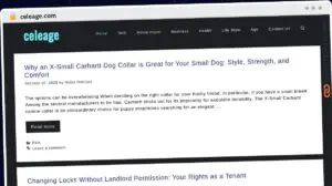 Publish Guest Post on celeage.com