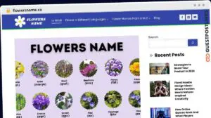 Publish Guest Post on flowersname.co