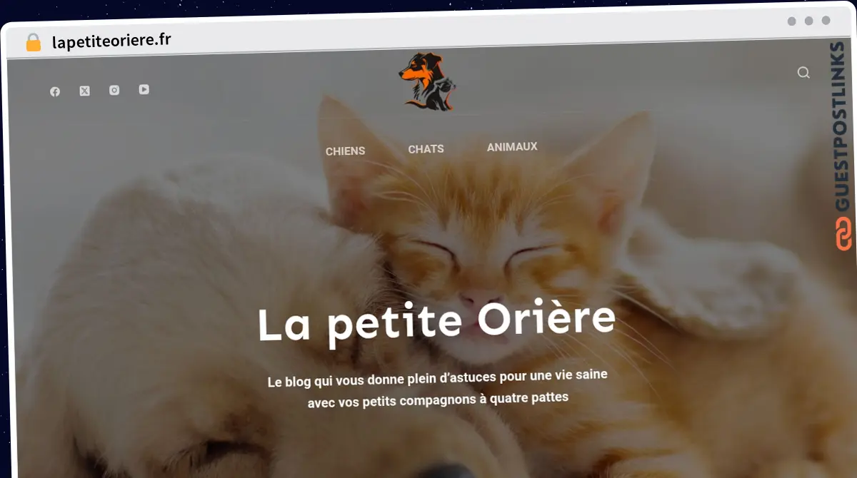 Publish Guest Post on lapetiteoriere.fr