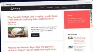 Publish Guest Post on ratoby.com