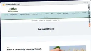 Publish Guest Post on zaraatofficial.com