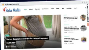 Publish Guest Post on stylusworlds.com