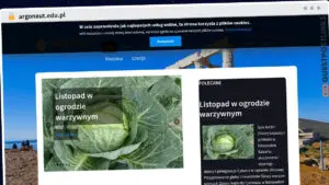 Publish Guest Post on argonaut.edu.pl