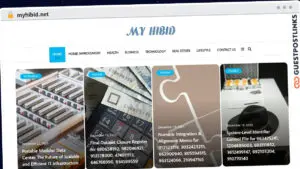 Publish Guest Post on myhibid.net