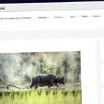 Publish Guest Post on thailande-online.com