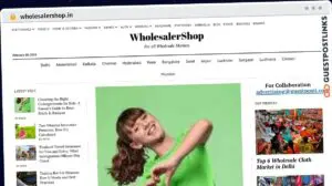 Publish Guest Post on wholesalershop.in