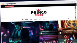 Publish Guest Post on pringodingo.com