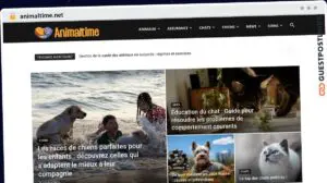 Publish Guest Post on animaltime.net