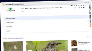 Publish Guest Post on charismaticplanet.com