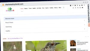 Publish Guest Post on charismaticplanet.com