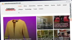 Publish Guest Post on collectivenounsworld.com