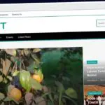 Publish Guest Post on feastmagazine.org