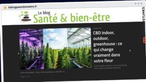 Publish Guest Post on leblogsantebienetre.fr