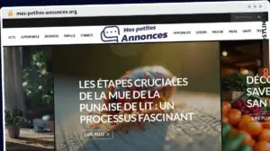 Publish Guest Post on mes-petites-annonces.org