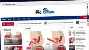 Publish Guest Post on picgrum.com