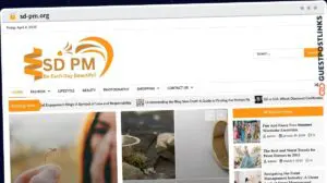 Publish Guest Post on sd-pm.org