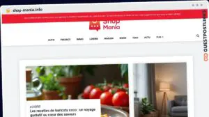 Publish Guest Post on shop-mania.info