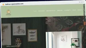 Publish Guest Post on tadiran-spectralink.com