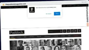 Publish Guest Post on thepaddockmagazine.com