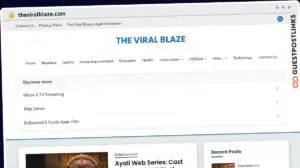 Publish Guest Post on theviralblaze.com