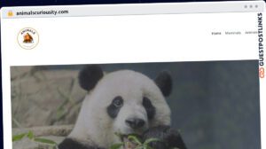 Publish Guest Post on animalscuriousity.com