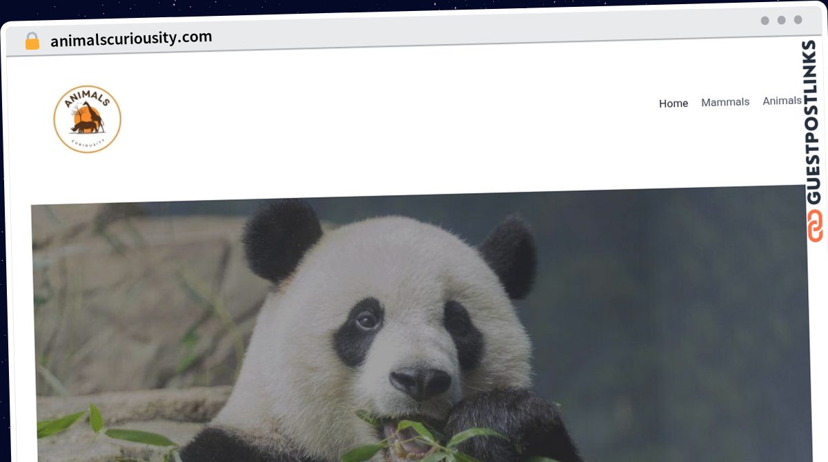 Publish Guest Post on animalscuriousity.com