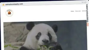 Publish Guest Post on animalscuriousity.com