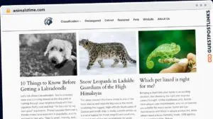 Publish Guest Post on animalstime.com